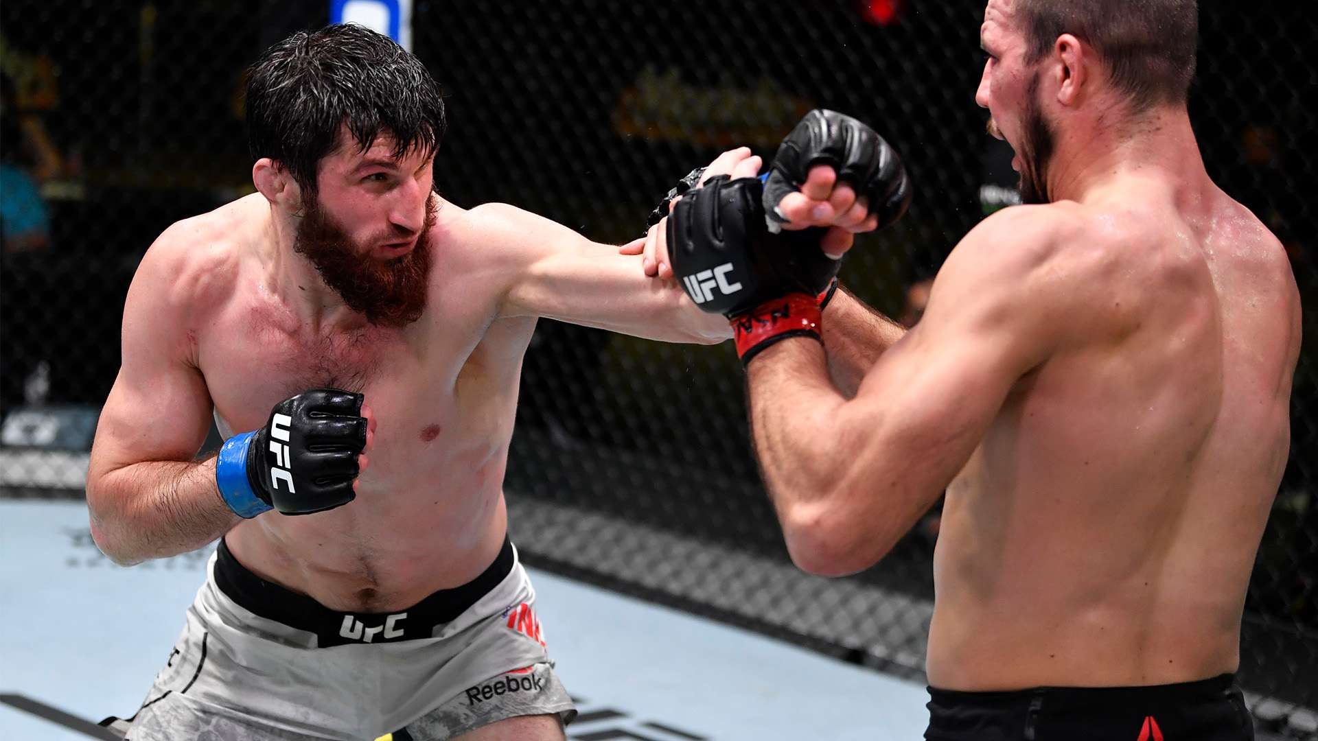 水利科技的 水利科技的