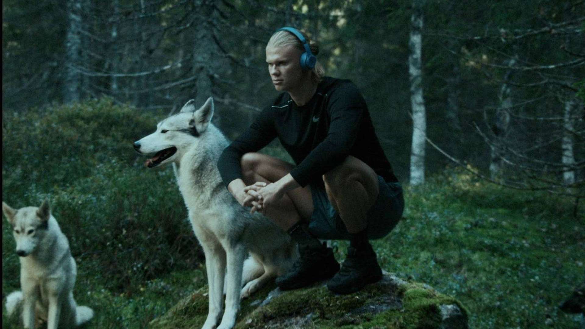 广州影豹冲击中乙未果，主教练黎兵向球迷道歉.