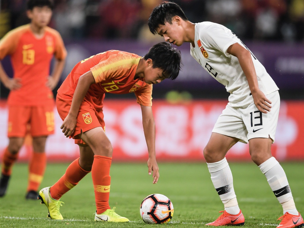 仅可能包括 仅可能包括